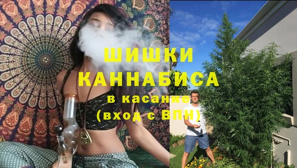 a pvp Аркадак