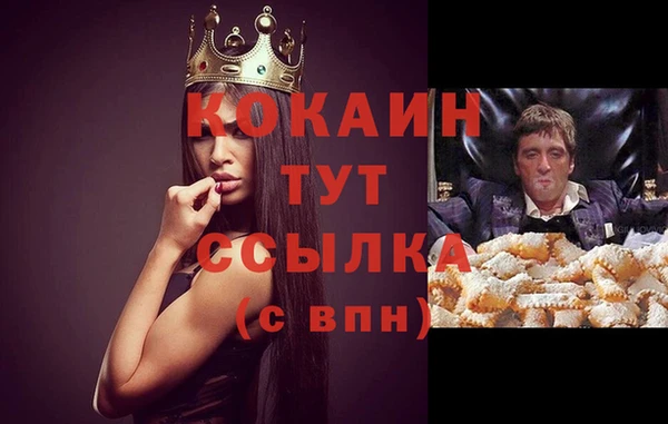 a pvp Аркадак