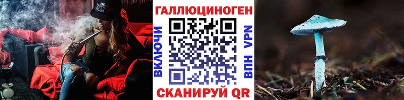 Псилоцибиновые грибы Psilocybine cubensis  Приволжск 